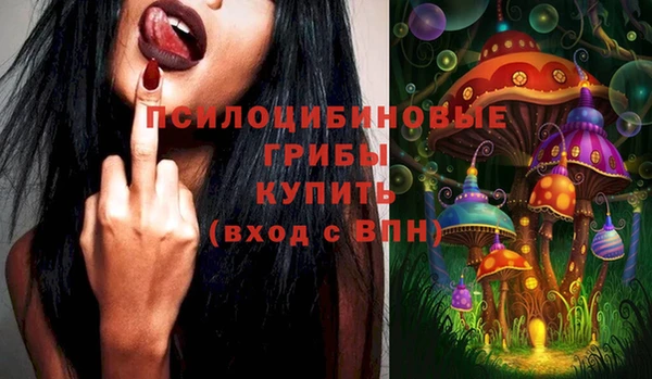 стафф Абинск